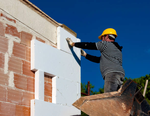 Best Garage Insulation Installation  in Cottonwood, MN